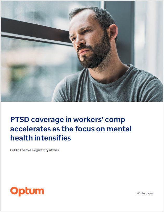 Work team reviewing business on a laptop